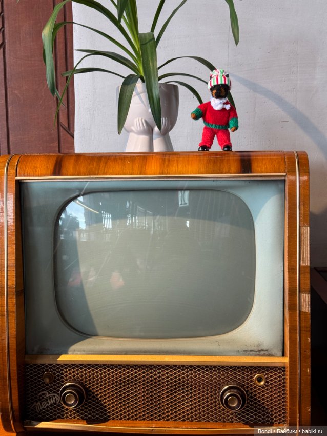 Прогулка с новым жителем (подарочек от друга-форумчанки) (фото 6)