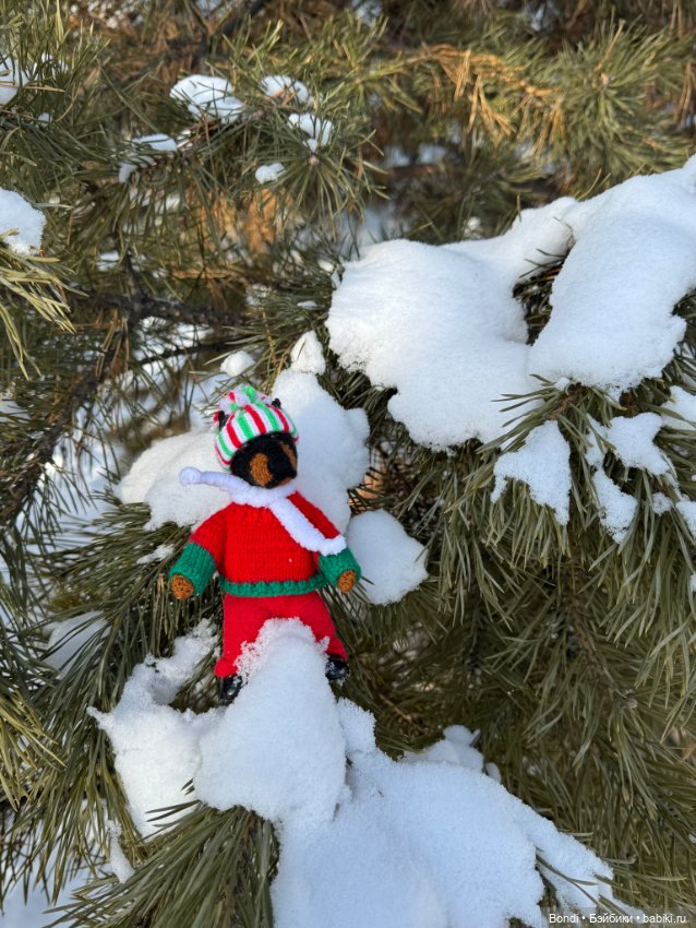 Прогулка с новым жителем (подарочек от друга-форумчанки) (фото 3)