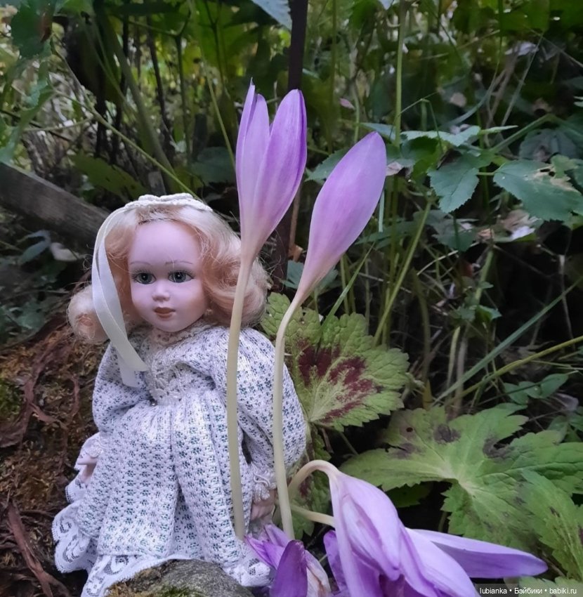 "...за окнами август..."🌾🌻