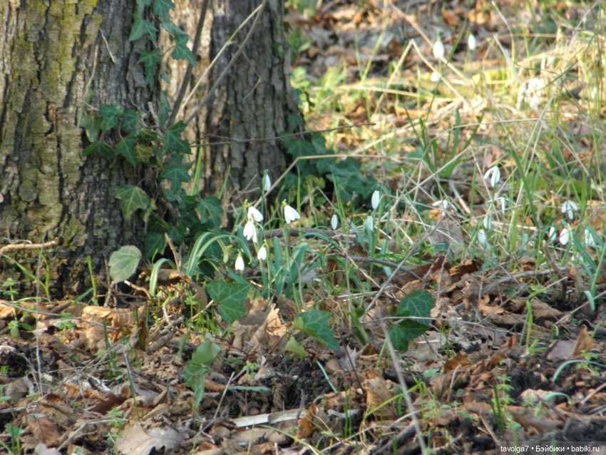 Имболк и февраль в Италии
