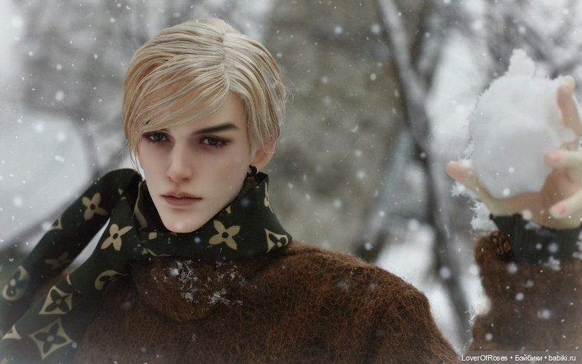 Адмирал Лер и его зимние прогулки