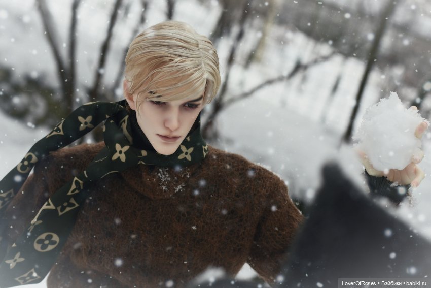 Адмирал Лер и его зимние прогулки