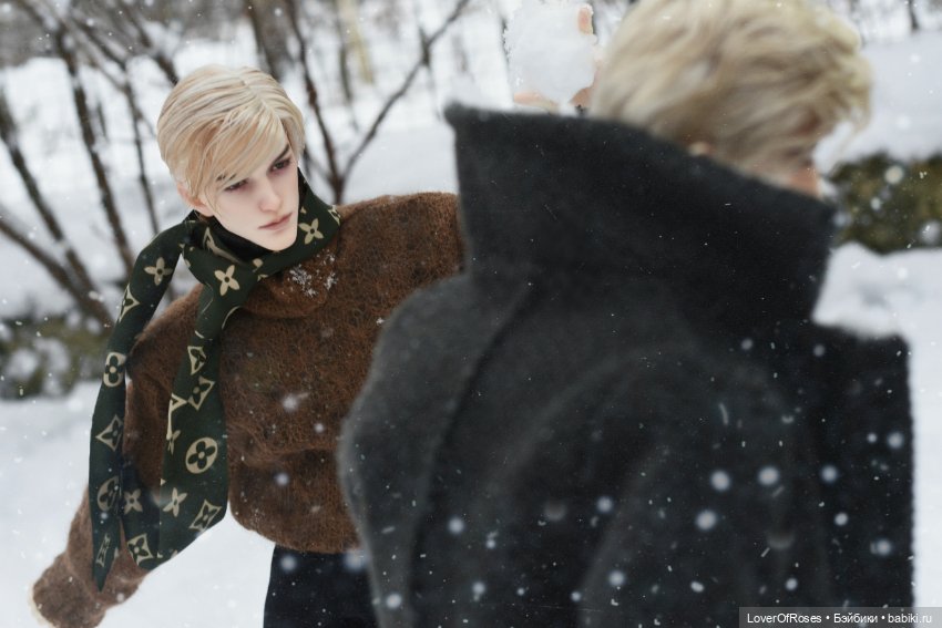 Адмирал Лер и его зимние прогулки