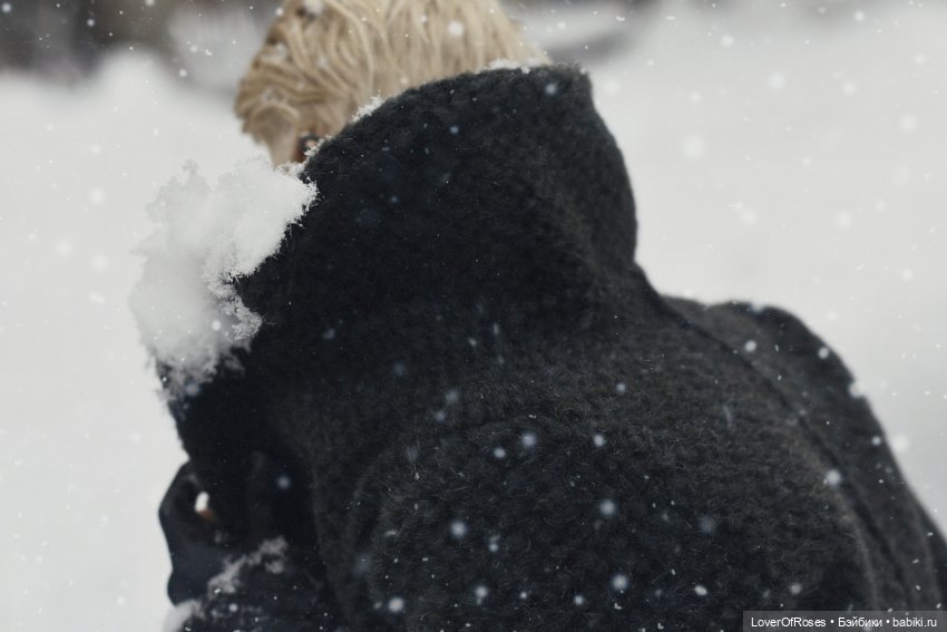 Адмирал Лер и его зимние прогулки