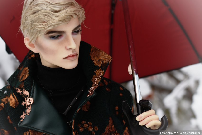 Адмирал Лер и его зимние прогулки (фото 5)