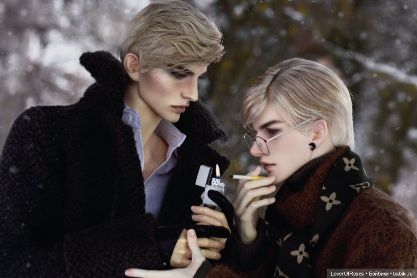 Адмирал Лер и его зимние прогулки