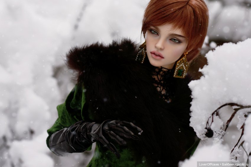 Адмирал Лер и его зимние прогулки (фото 3)