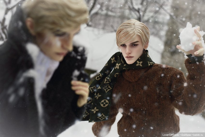 Адмирал Лер и его зимние прогулки