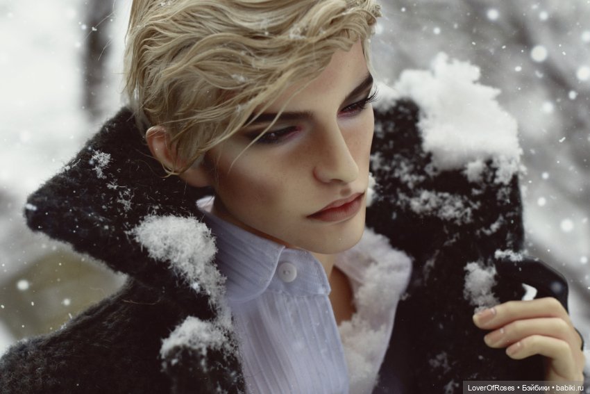 Адмирал Лер и его зимние прогулки