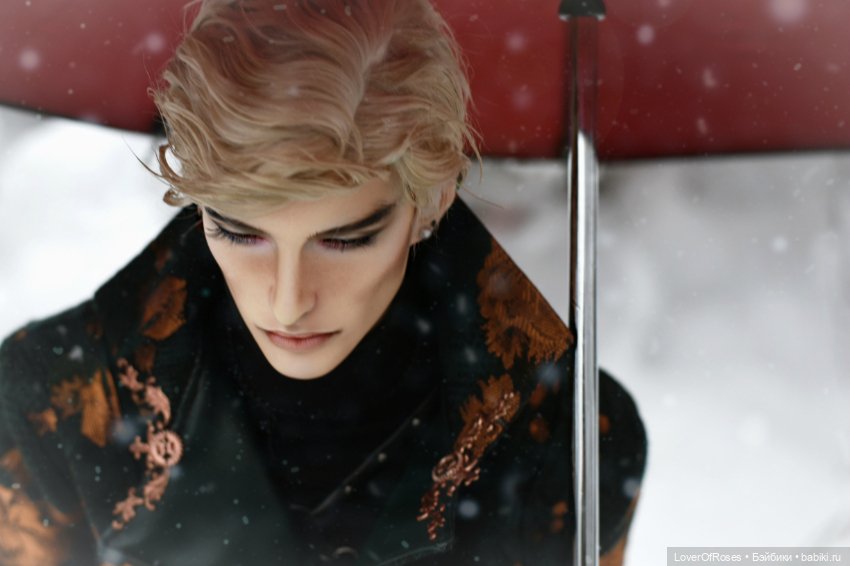 Адмирал Лер и его зимние прогулки (фото 8)