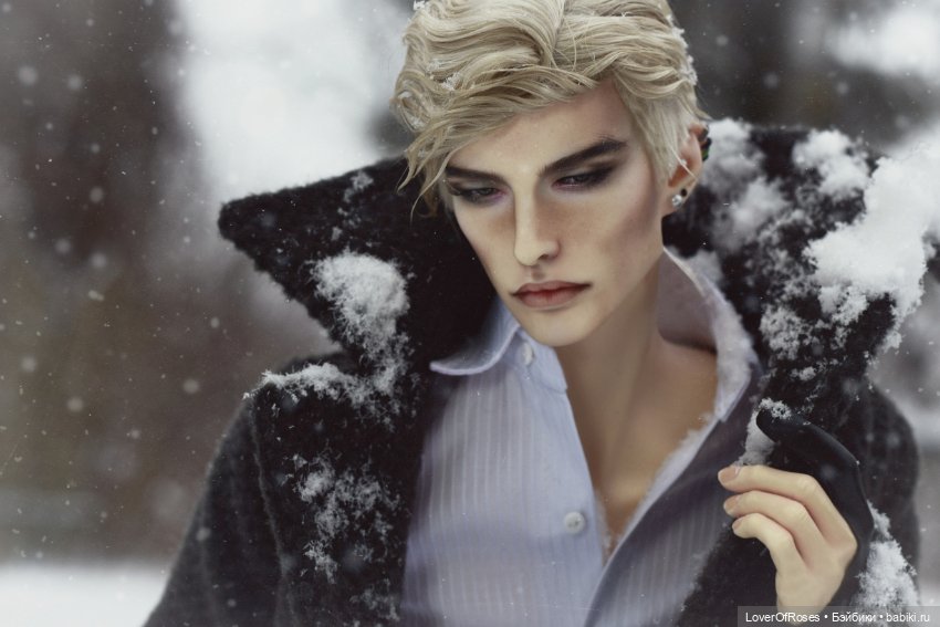 Адмирал Лер и его зимние прогулки