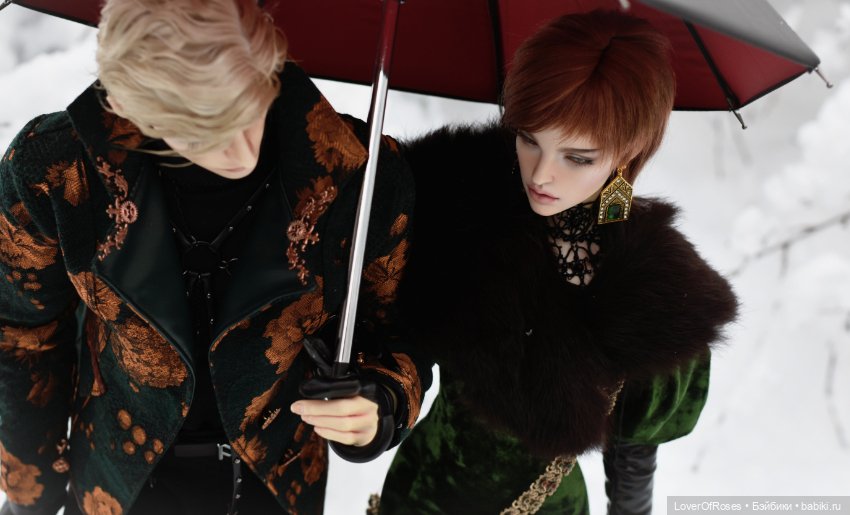 Адмирал Лер и его зимние прогулки (фото 7)