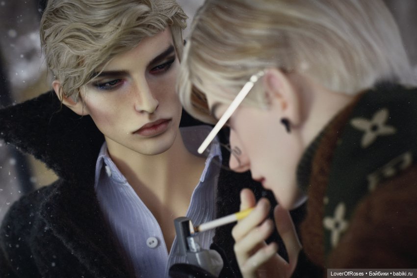 Адмирал Лер и его зимние прогулки