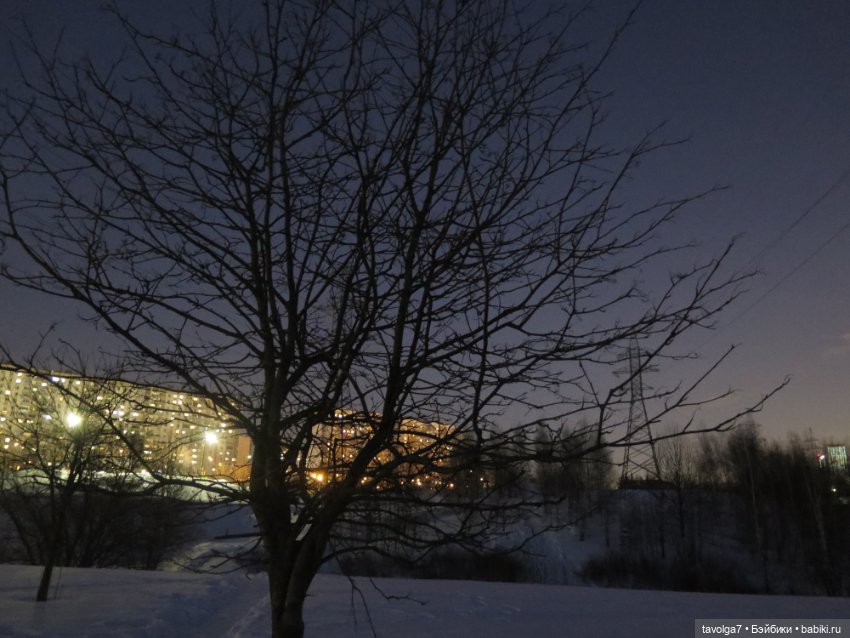"Поворот на весну в городе без птиц..."