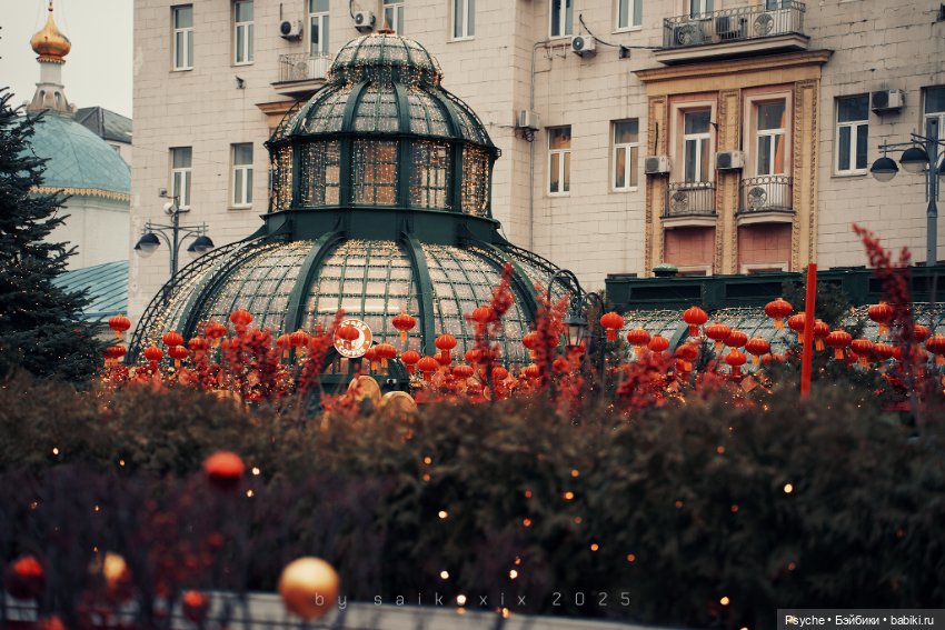 Чуньцзе — «Праздник весны» в Москве (фото 4)