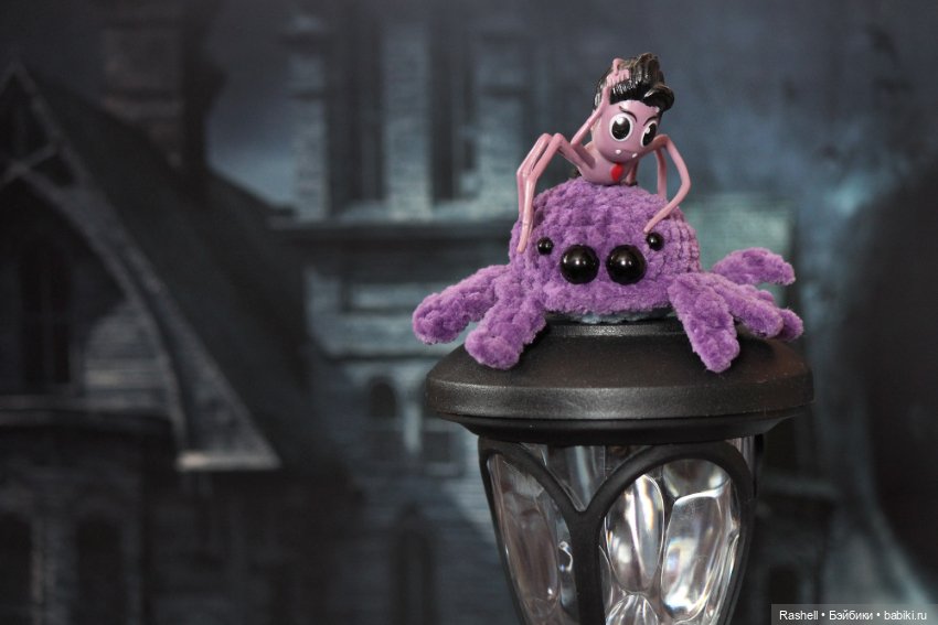 Два паучка — Другие хобби и увлечения: сад (фото 3)