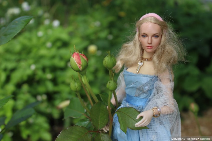 Розы и шиповник — Кукольные фотоистории и сериалы: комиксы