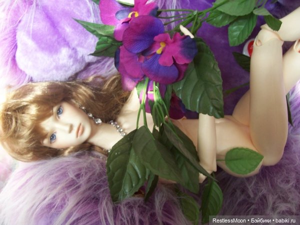 Загляну я в старый альбом