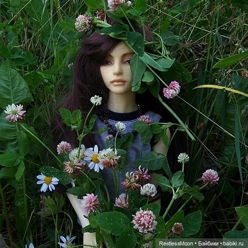 Загляну я в старый альбом