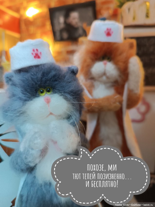 Хитрые гостьи в кафе "Кошачья лапка"