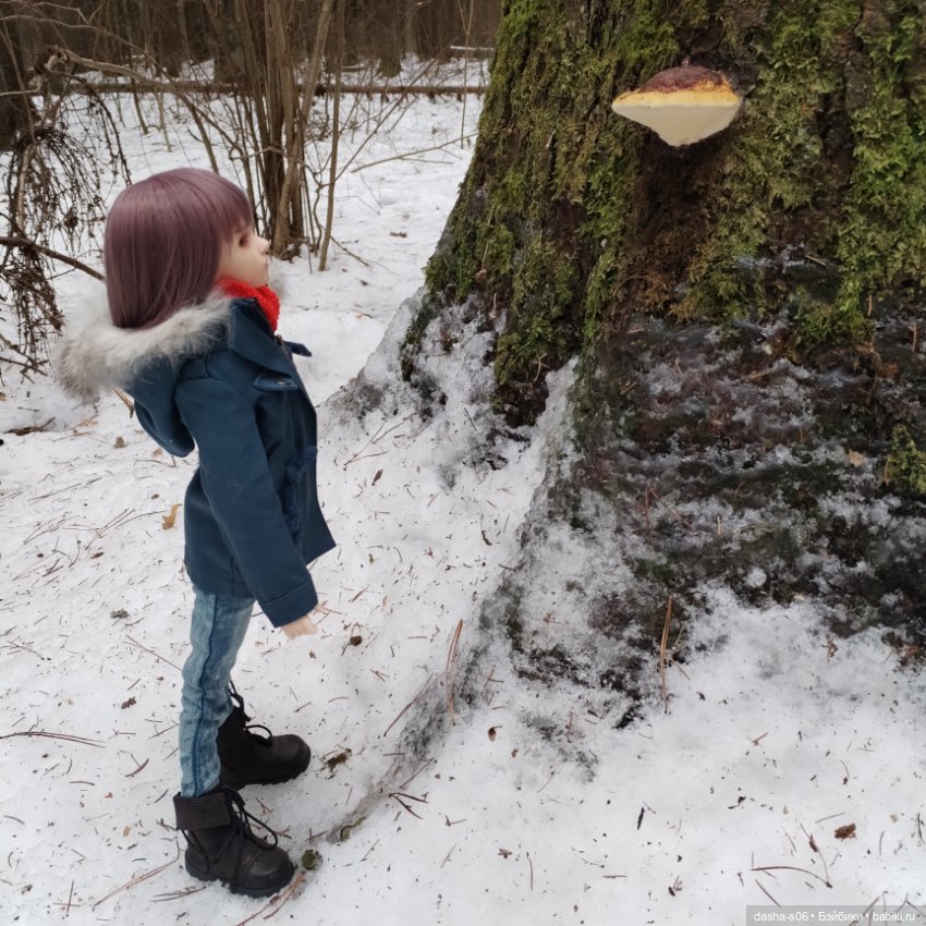 Пойдем играть в снежки — Куклы Fairyland (ФэйриЛэнд): BJD (БЖД) (фото 9)