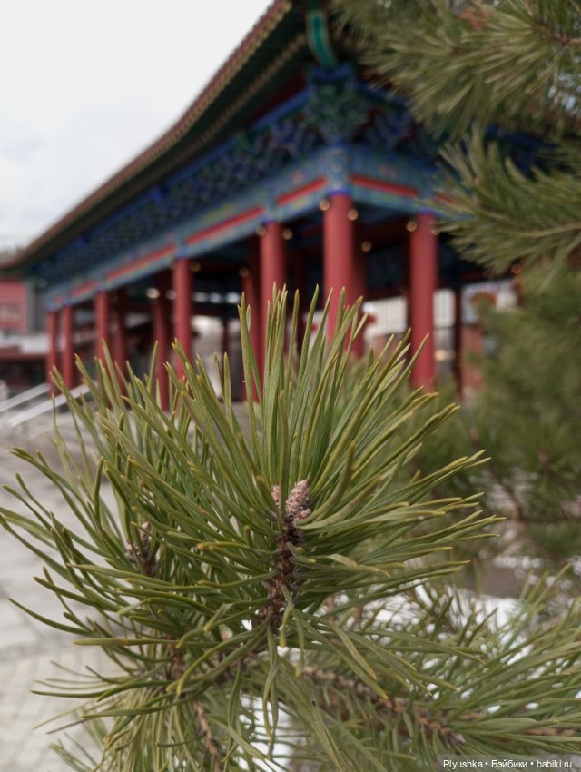 Парк Хуамин — Куклы LeeAnn (Denis Bastien) и Marianna Oldenburg: винил (фото 3)