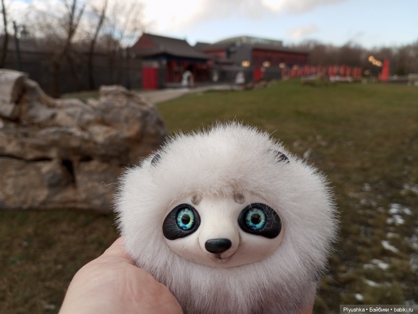 Жизнь Панды Бу: ч.2 - Зима