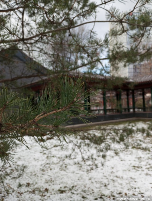 Жизнь Панды Бу: ч.2 - Зима (фото 5)