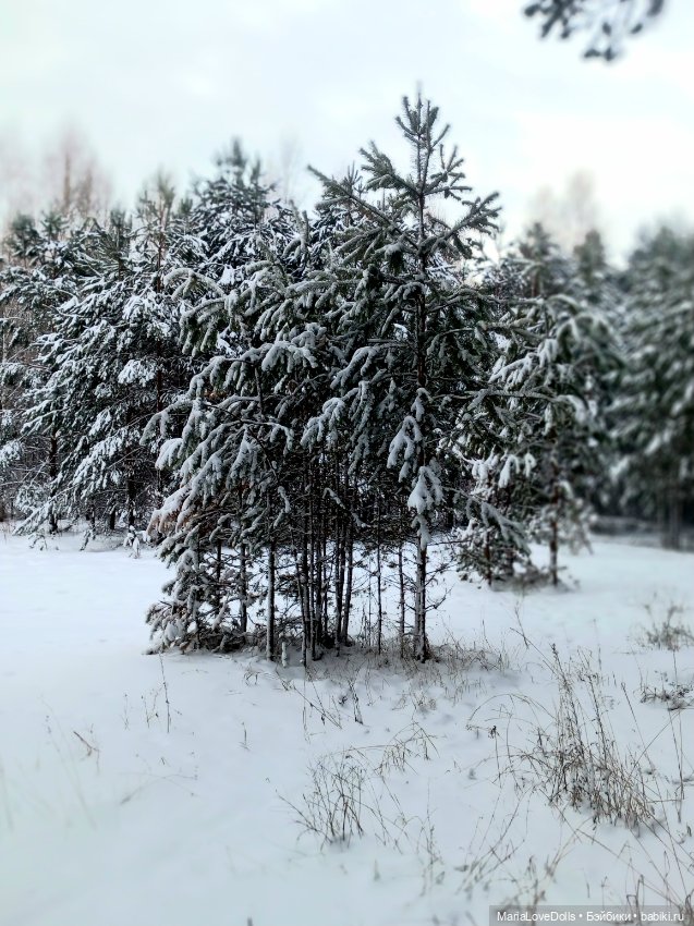 Один день настоящей Зимы❄️❄️❄️
