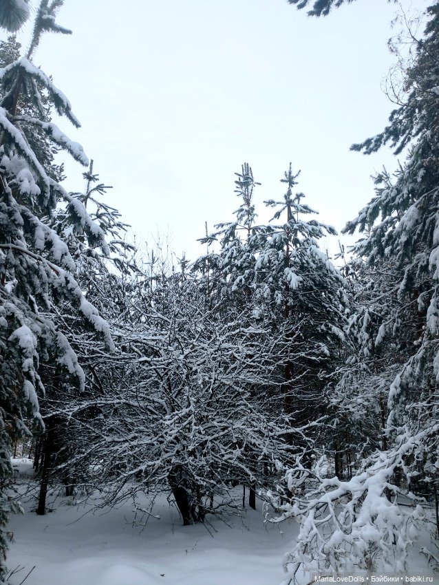 Один день настоящей Зимы❄️❄️❄️ (фото 2)