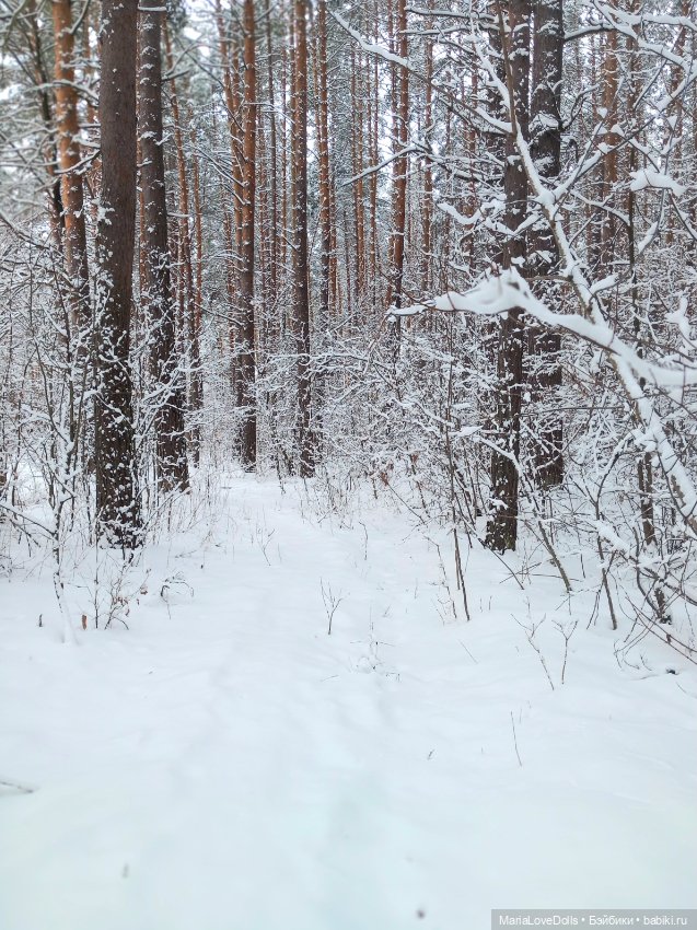 Один день настоящей Зимы❄️❄️❄️ (фото 3)