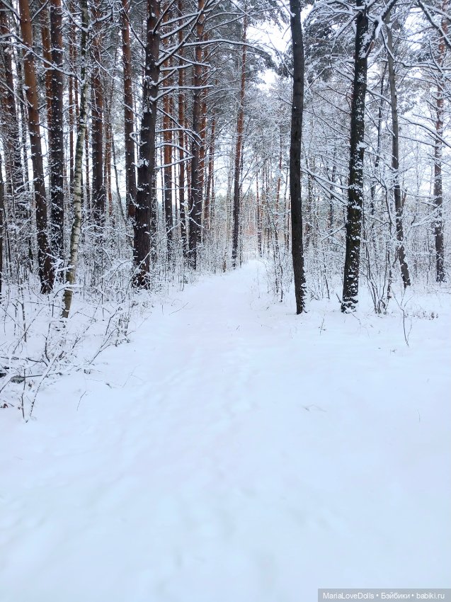 Один день настоящей Зимы❄️❄️❄️