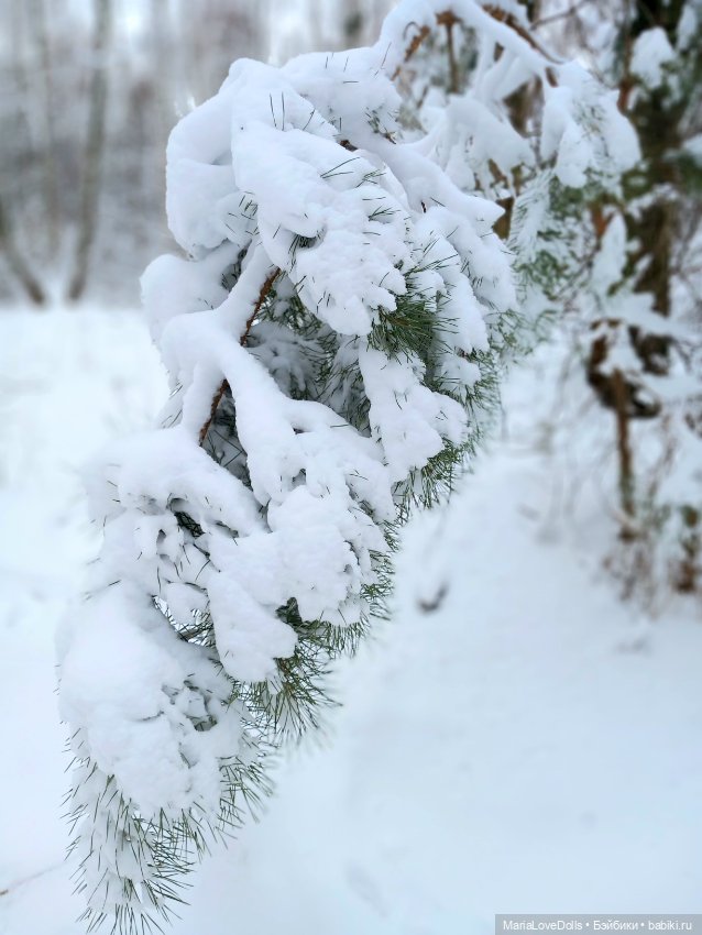 Один день настоящей Зимы❄️❄️❄️