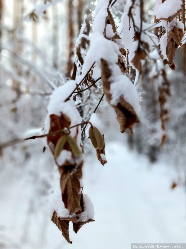 Один день настоящей Зимы❄️❄️❄️