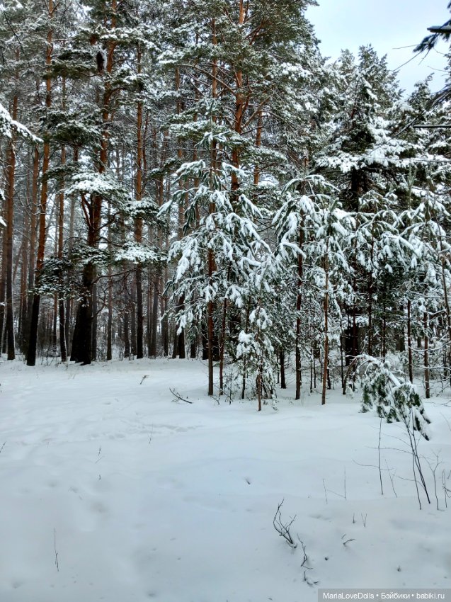 Один день настоящей Зимы❄️❄️❄️