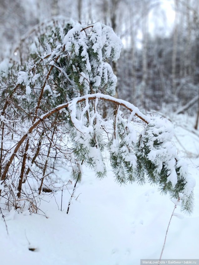 Один день настоящей Зимы❄️❄️❄️
