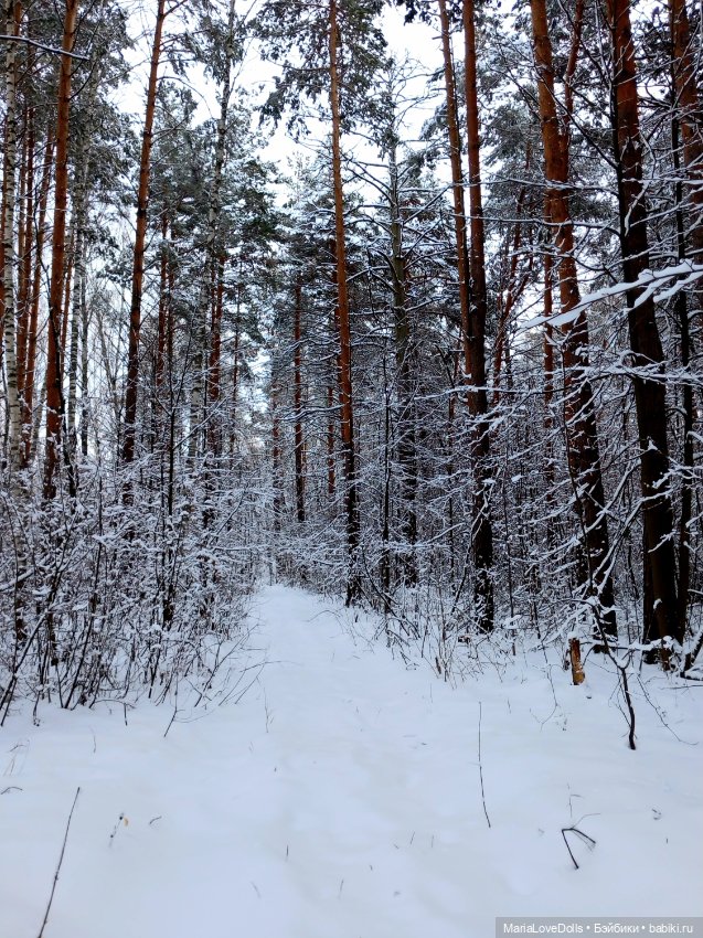 Один день настоящей Зимы❄️❄️❄️