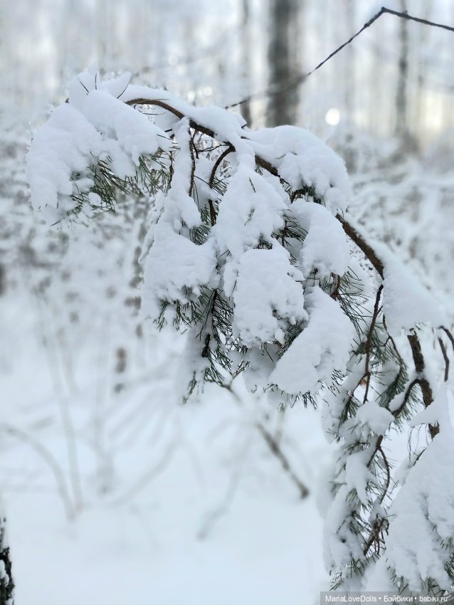 Один день настоящей Зимы❄️❄️❄️ (фото 4)