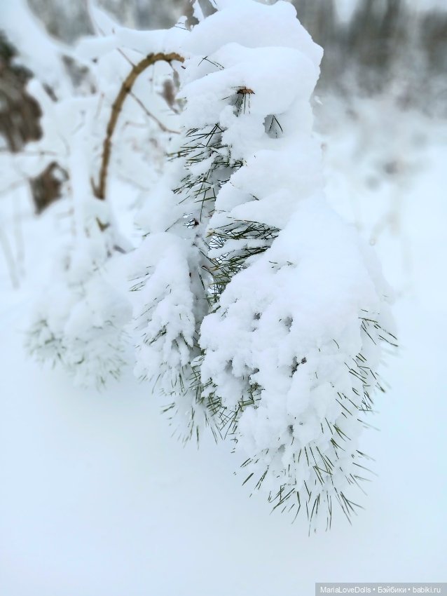 Один день настоящей Зимы❄️❄️❄️