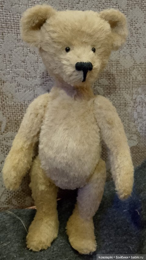 Рождение малышки Теоны или наша первая девочка-тедди (фото 2)