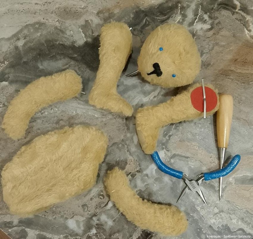 Рождение малышки Теоны или наша первая девочка-тедди (фото 4)