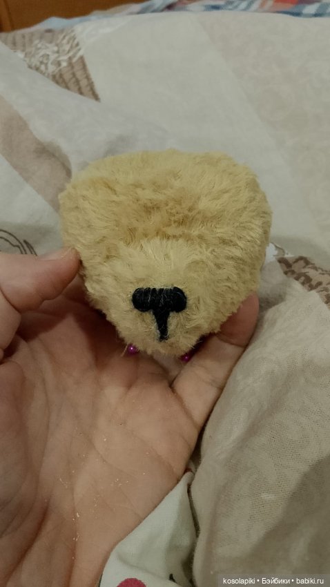 Рождение малышки Теоны или наша первая девочка-тедди (фото 7)