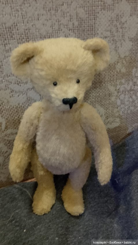 Рождение малышки Теоны или наша первая девочка-тедди