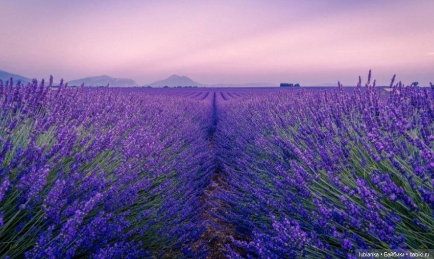 Люсиль💜 — Домашние коллекции кукол: фото собраний (фото 3)