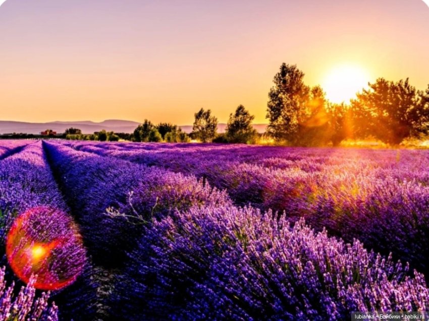 Люсиль💜 — Домашние коллекции кукол: фото собраний