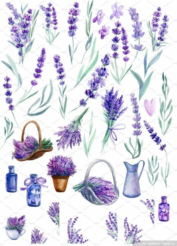 Люсиль💜 — Домашние коллекции кукол: фото собраний