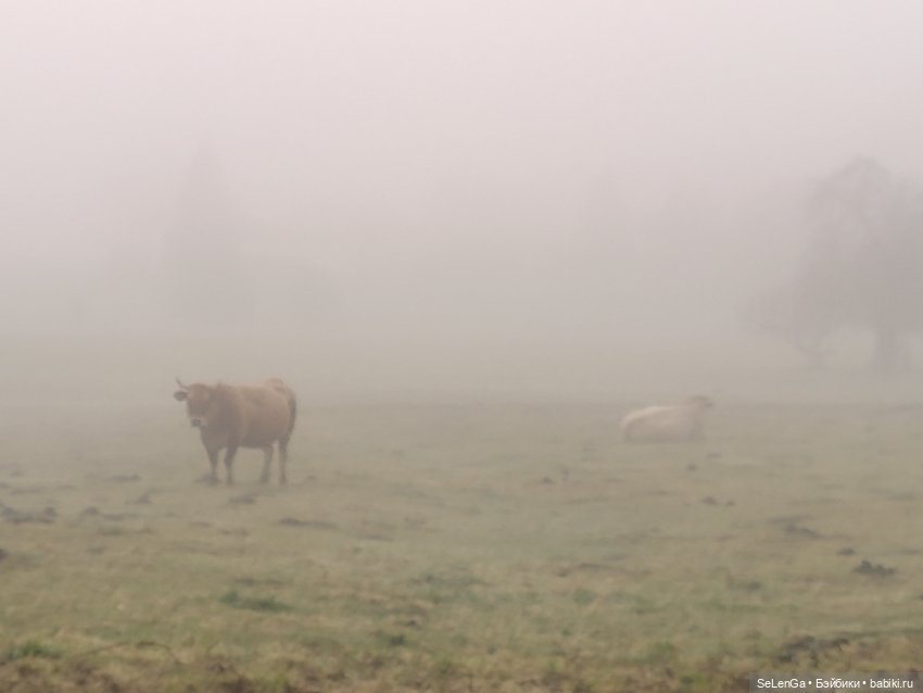 Мурочка катается — Игровые куклы разных производителей (Разное): редкие бренды (фото 10)