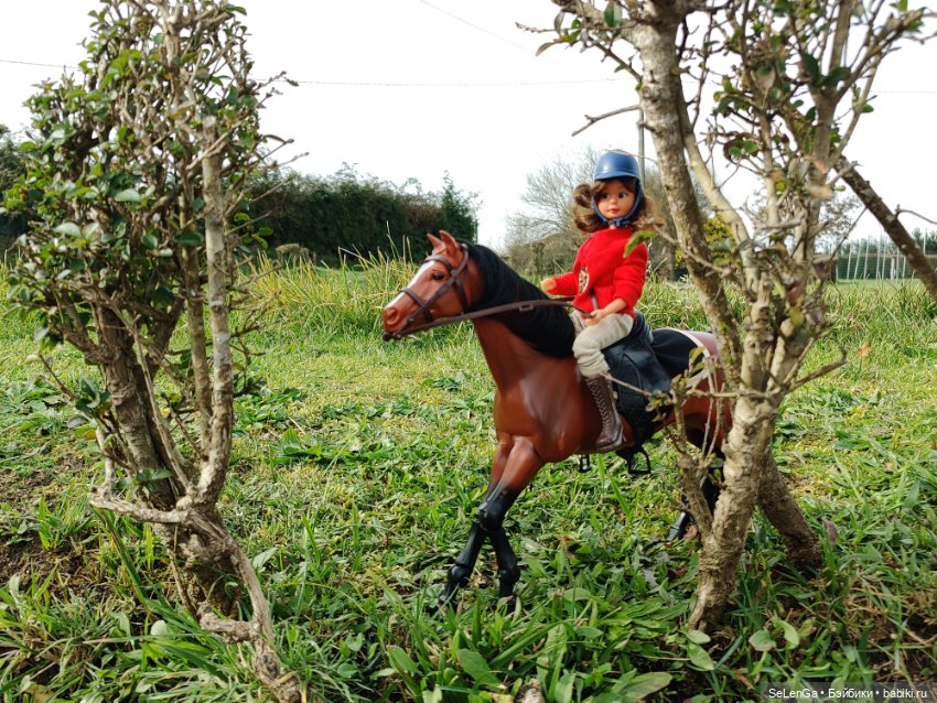 Мурочка катается — Игровые куклы разных производителей (Разное): редкие бренды (фото 5)