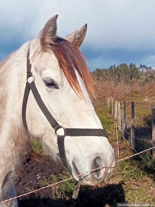 Мурочка катается — Игровые куклы разных производителей (Разное): редкие бренды