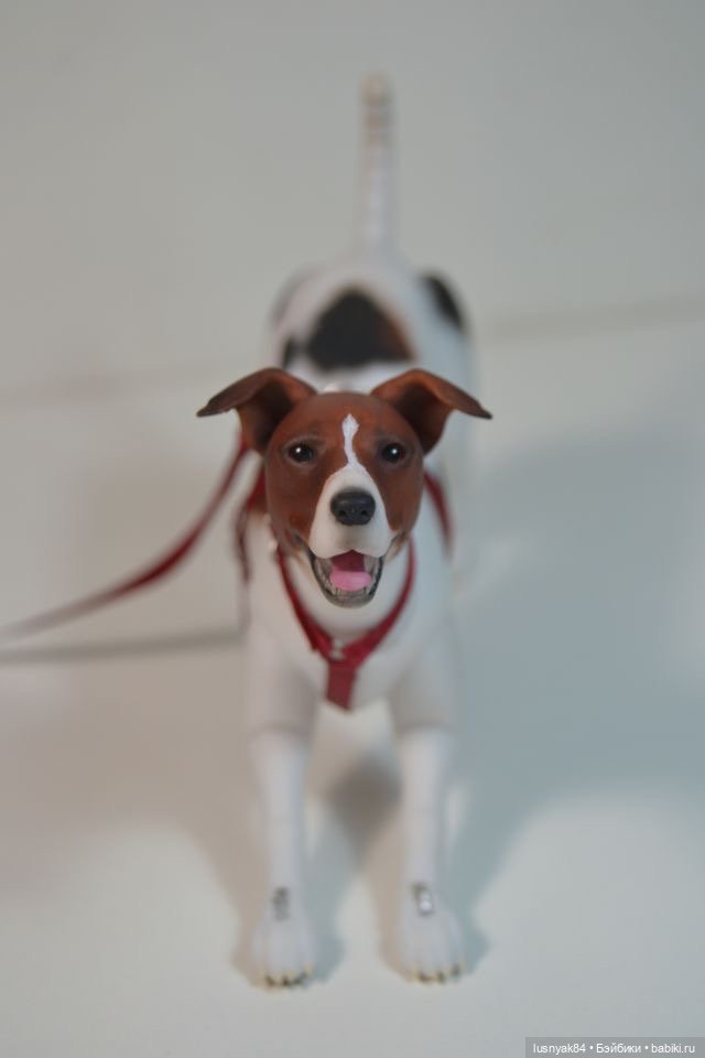 Чапи 🐶🐾 — Куклы Tender Creation (Анна Добрякова): российские BJD (БЖД)